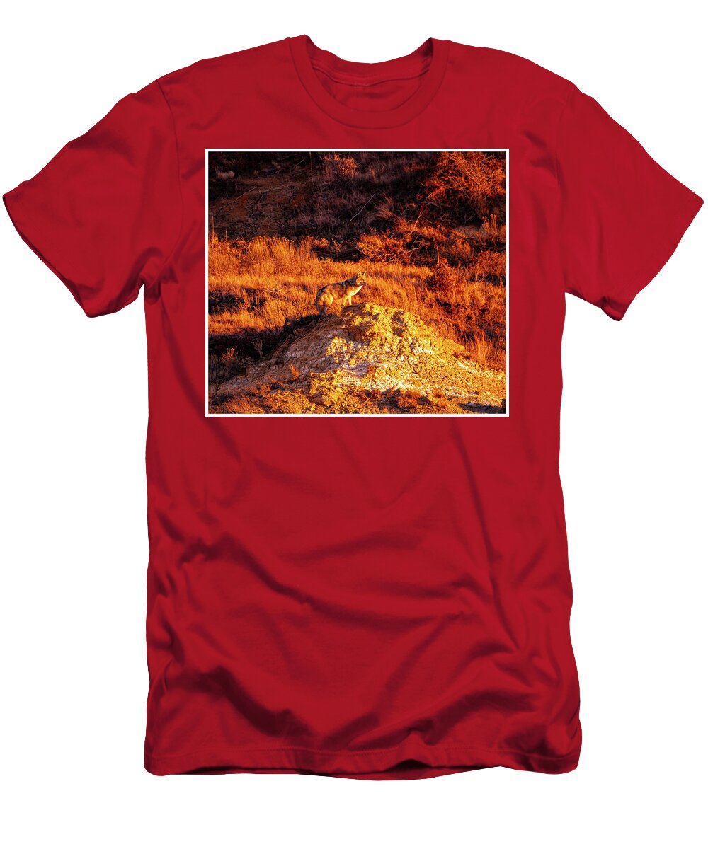 Coyote in Golden Landscape Chris Van Hoose T-Shirt