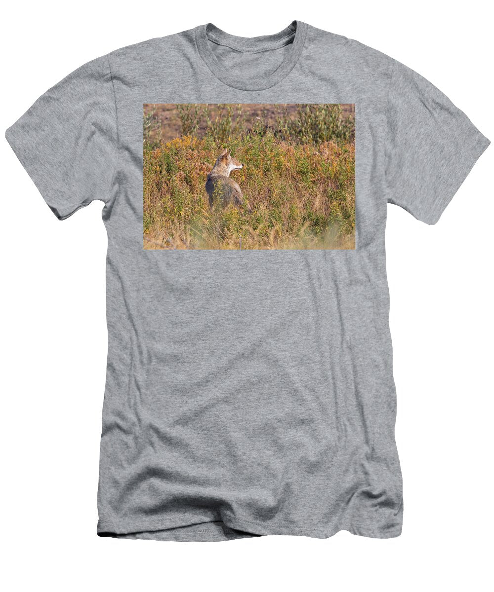 Coyote in Golden Meadow George Erwin Turner T-Shirt