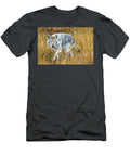 Coyote in Grassy Field Amy Booth T-Shirt