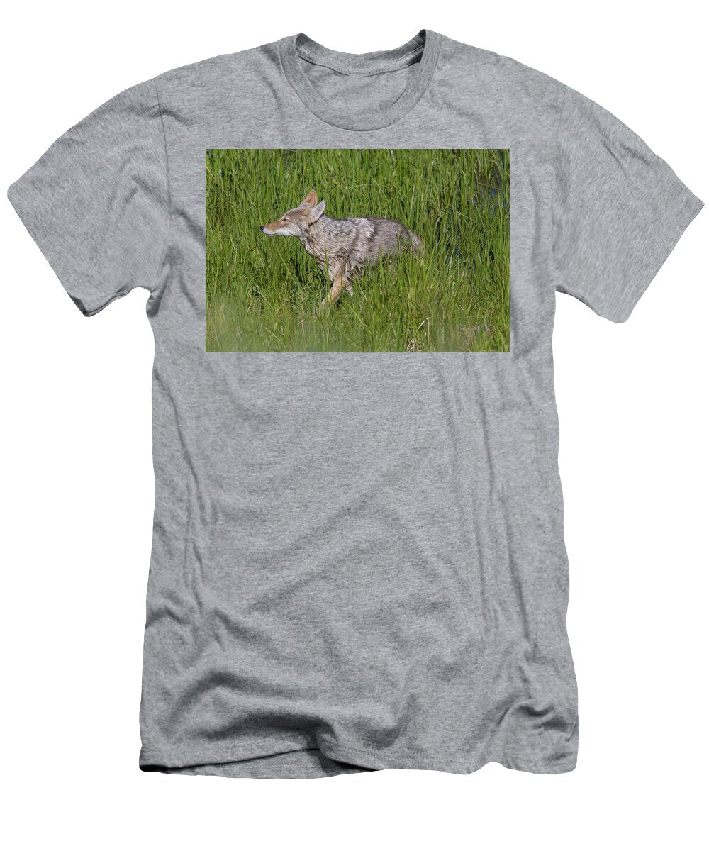 Coyote in Green Grass By Pond George Erwin Turner T-Shirt