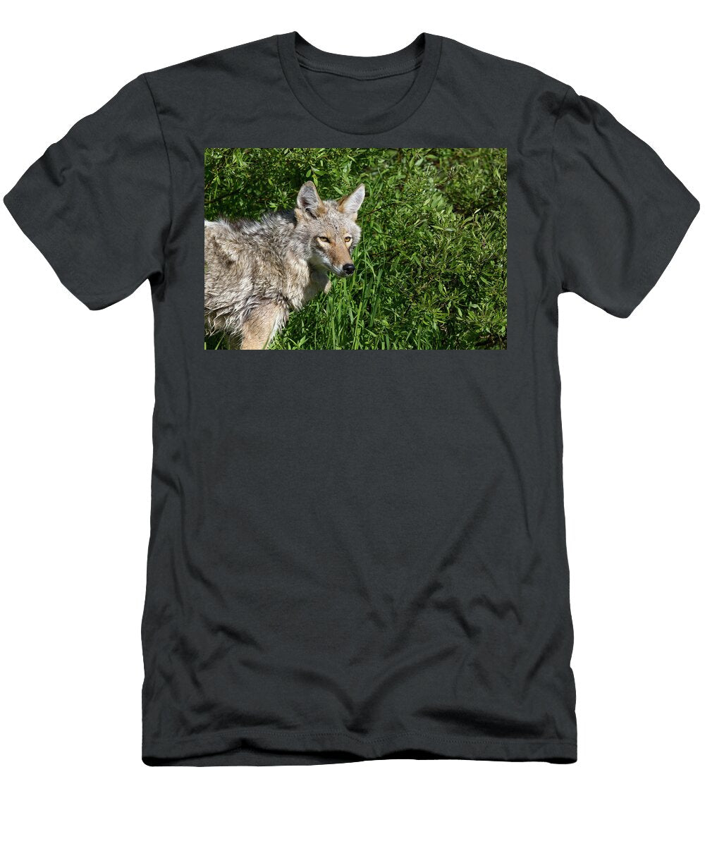 Coyote in Green Grass George Erwin Turner T-Shirt