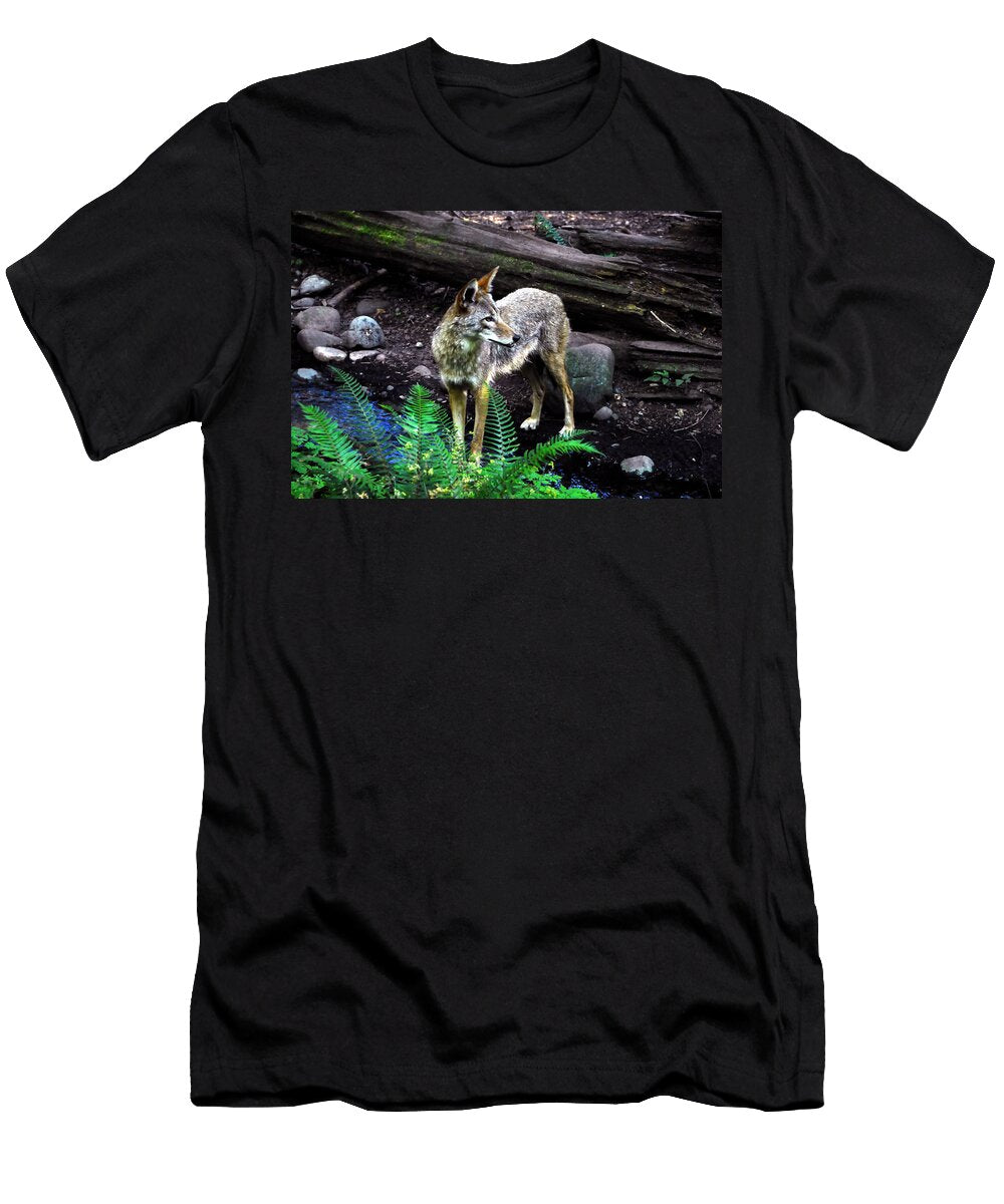Coyote in Mid Stream David Lee Thompson T-Shirt