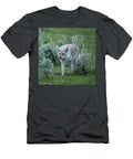 Coyote in Natural Habitat Paul Freidlund T-Shirt