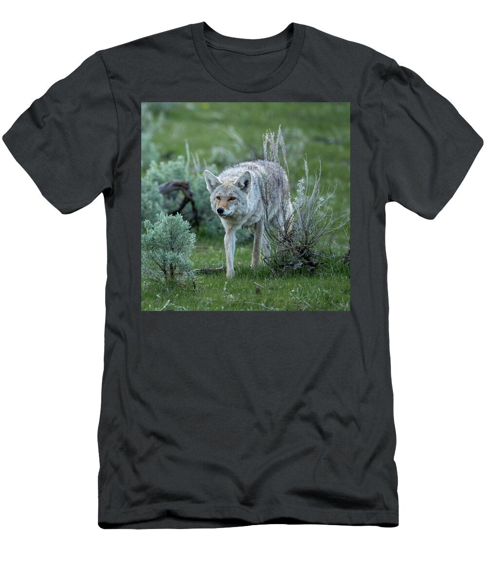 Coyote in Natural Habitat Paul Freidlund T-Shirt