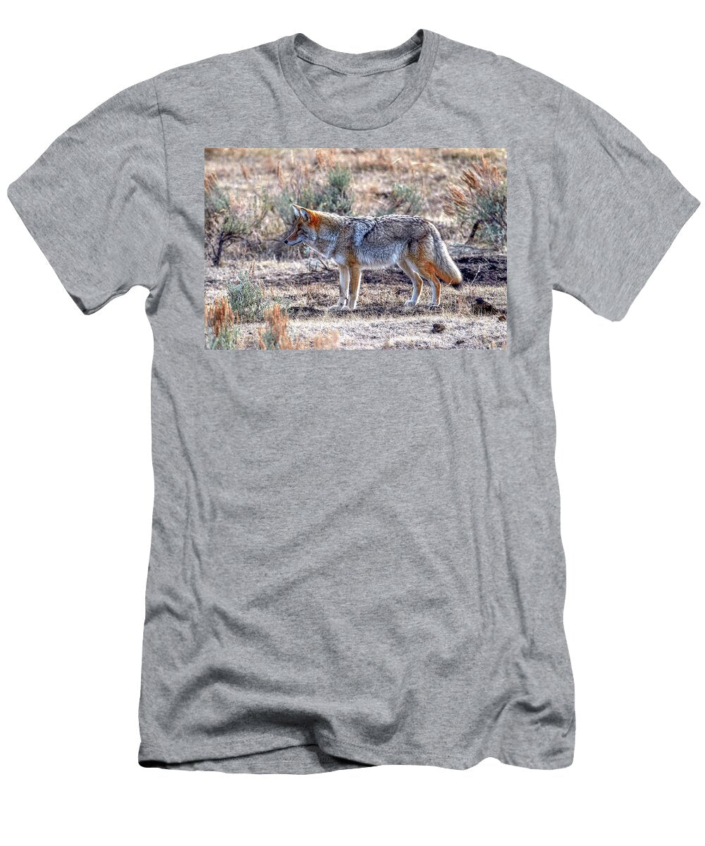 Coyote in Sage Brush Paul Freidlund T-Shirt