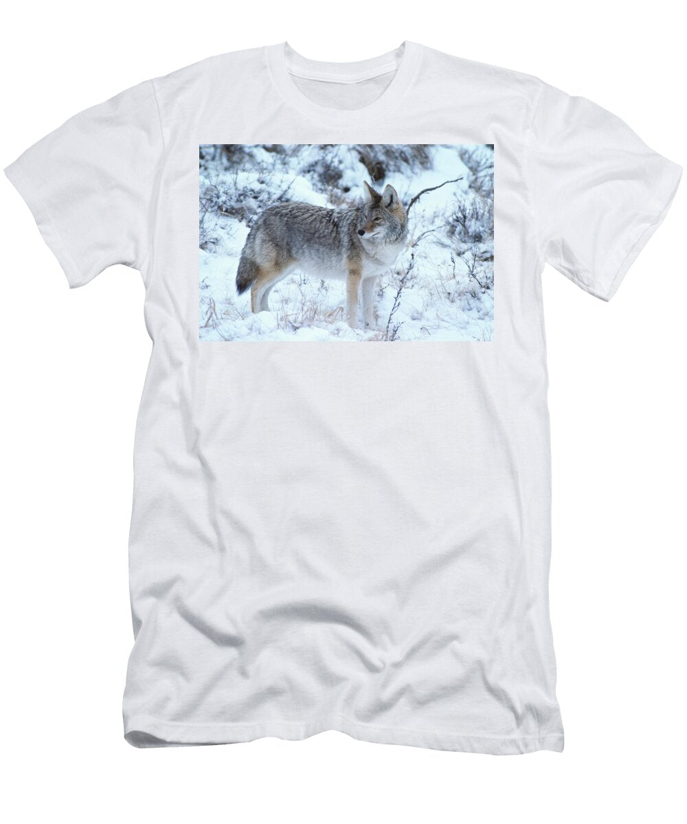 Coyote in Snow Animal Images T-Shirt