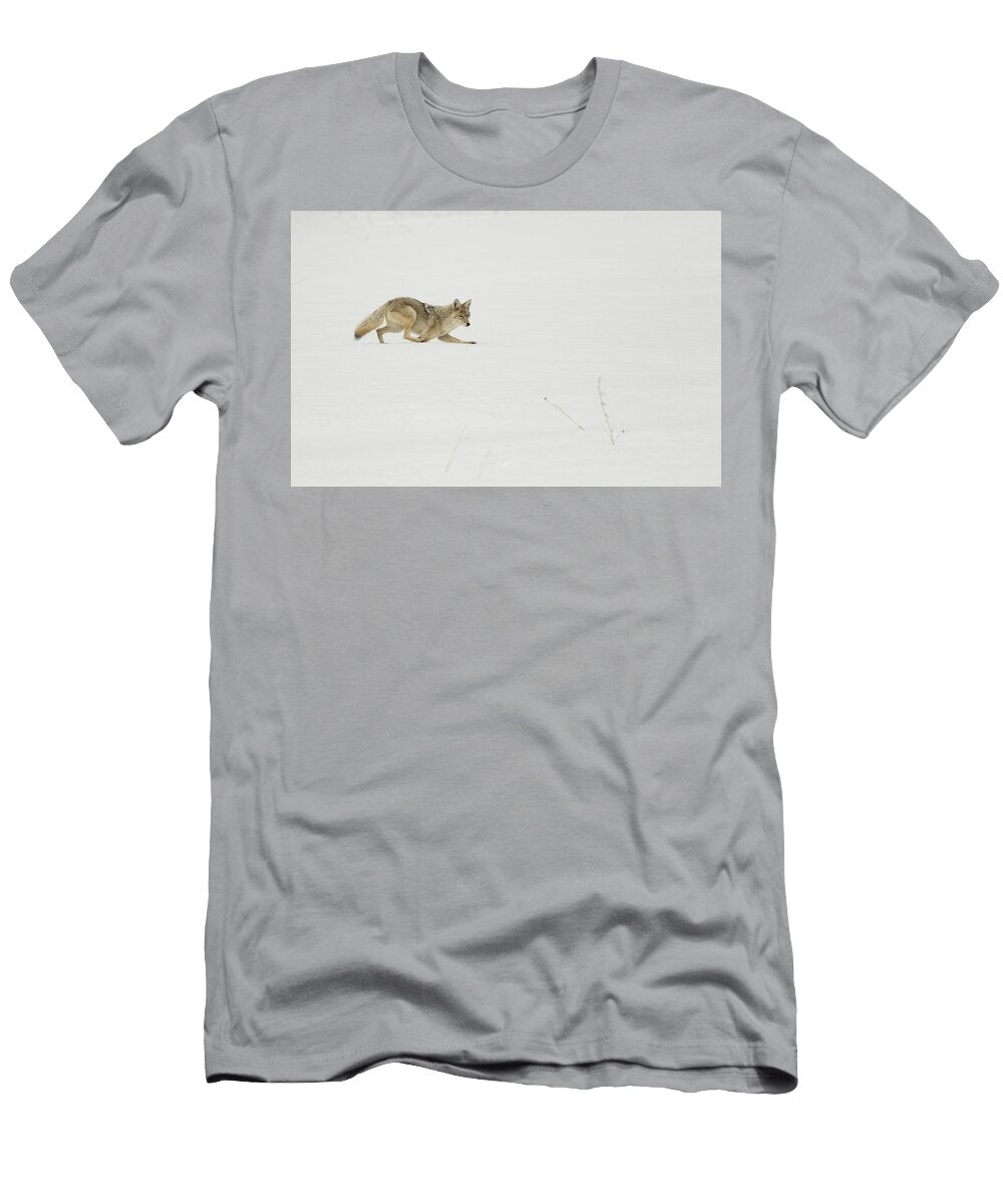 Coyote in Snow Yellowstone National Park Wyoming USA Paul Hobson Natureplcom T-Shirt