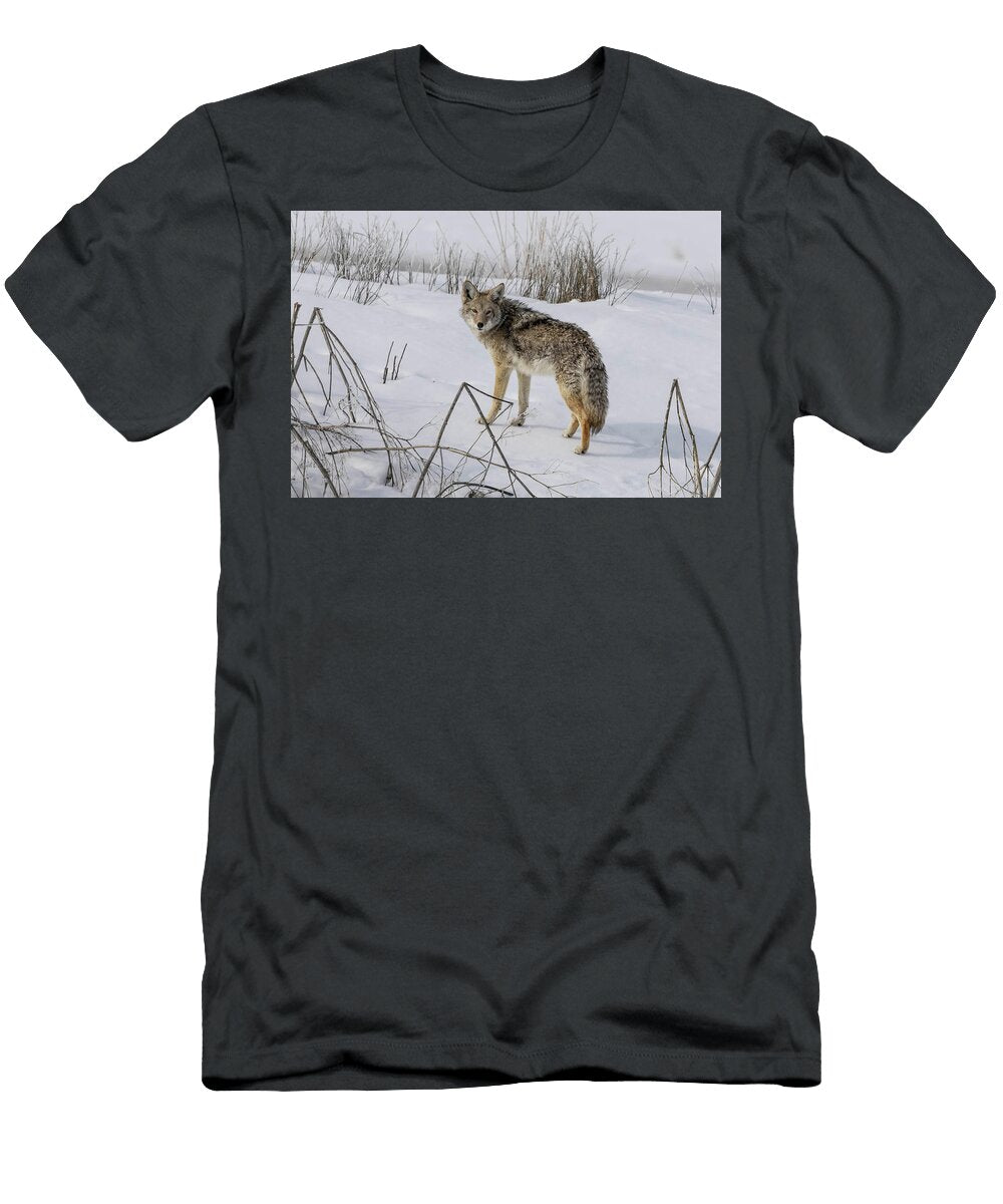 Coyote in Snowy Landscape Kathy Port T-Shirt