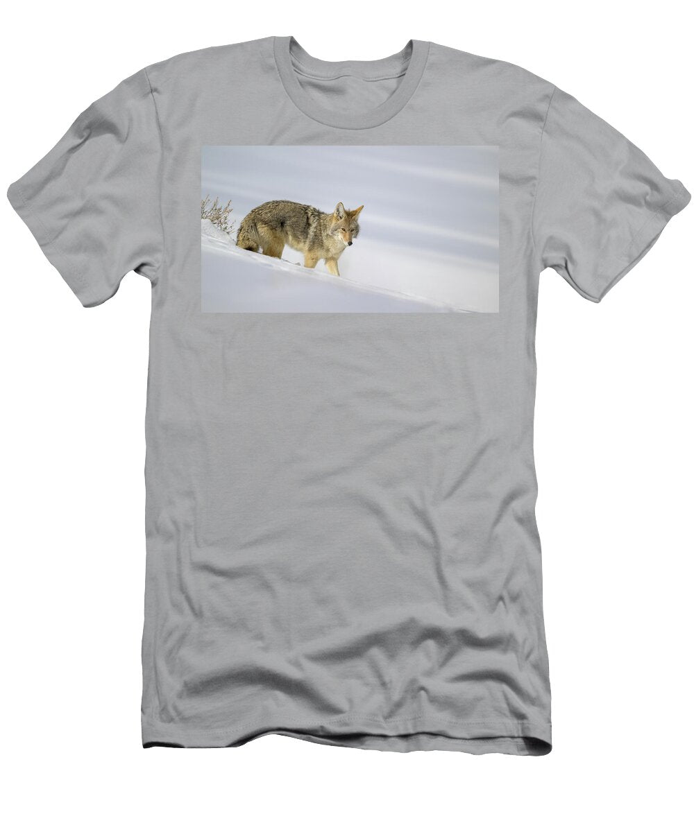 Coyote in Snowy Terrain Anita Wooldridge T-Shirt
