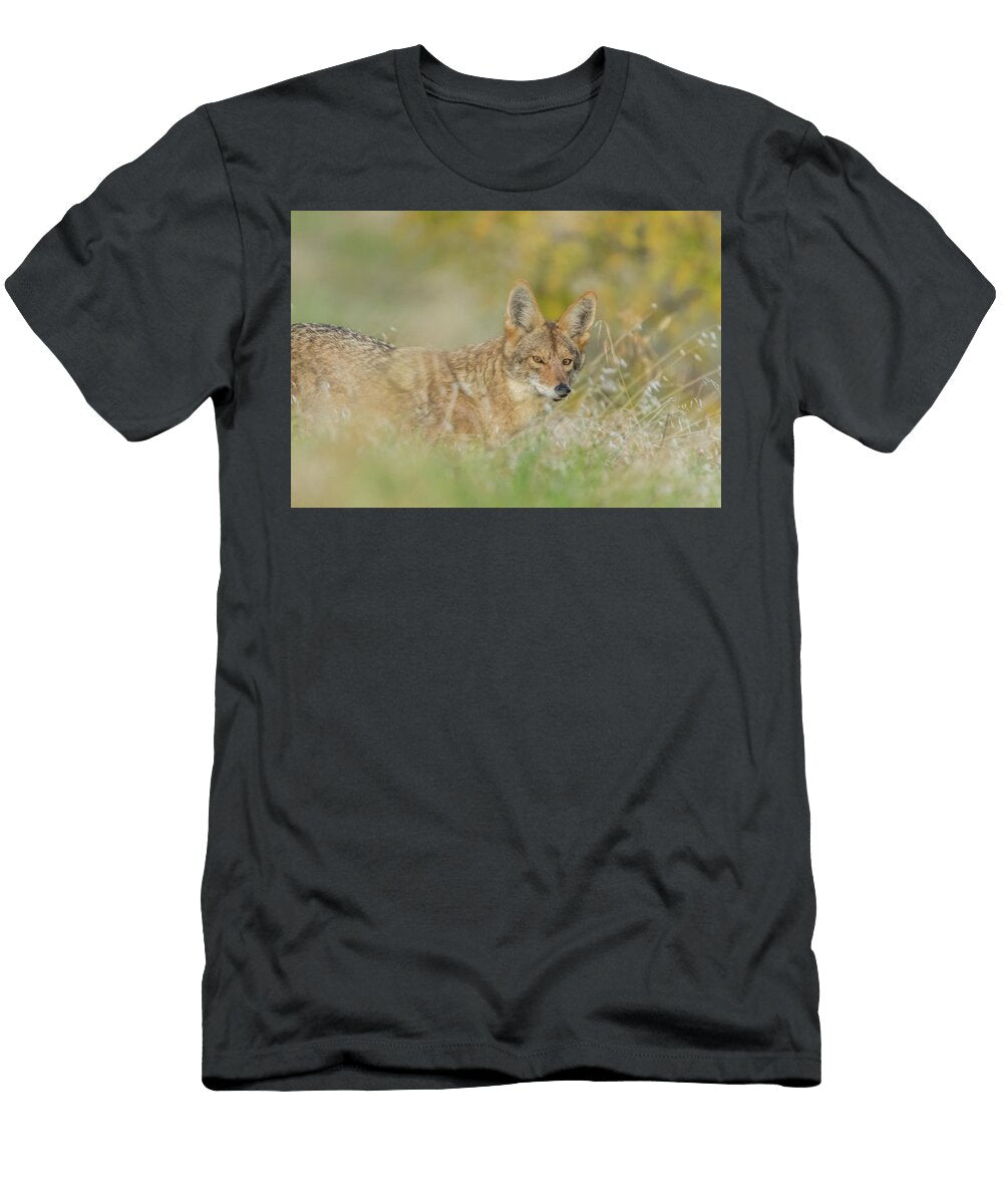 Coyote in Tall Grass Marc Crumpler T-Shirt