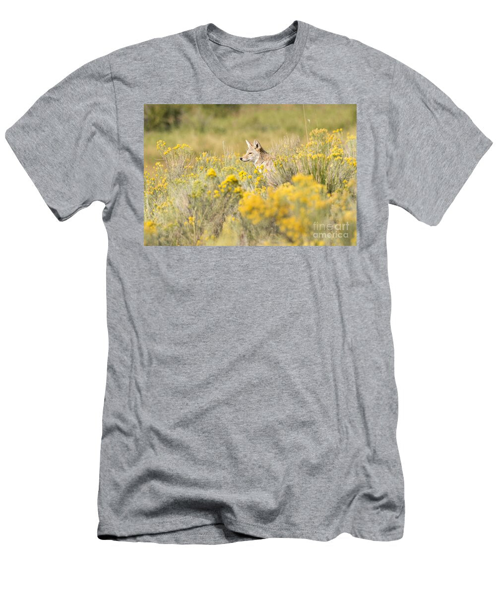 Coyote in the Chamisa Deby Dixon T-Shirt