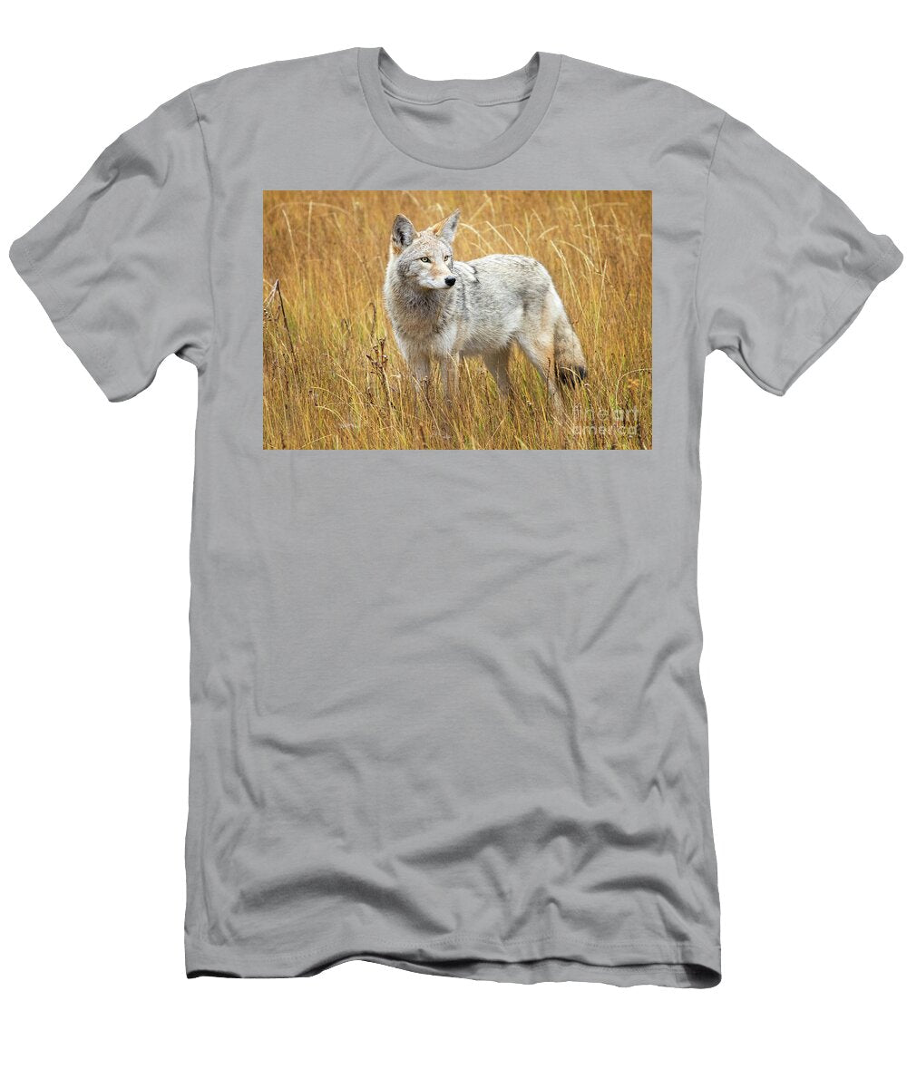 Coyote in the Field Todd Bielby T-Shirt