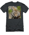 Coyote in the Forest Les Palenik T-Shirt