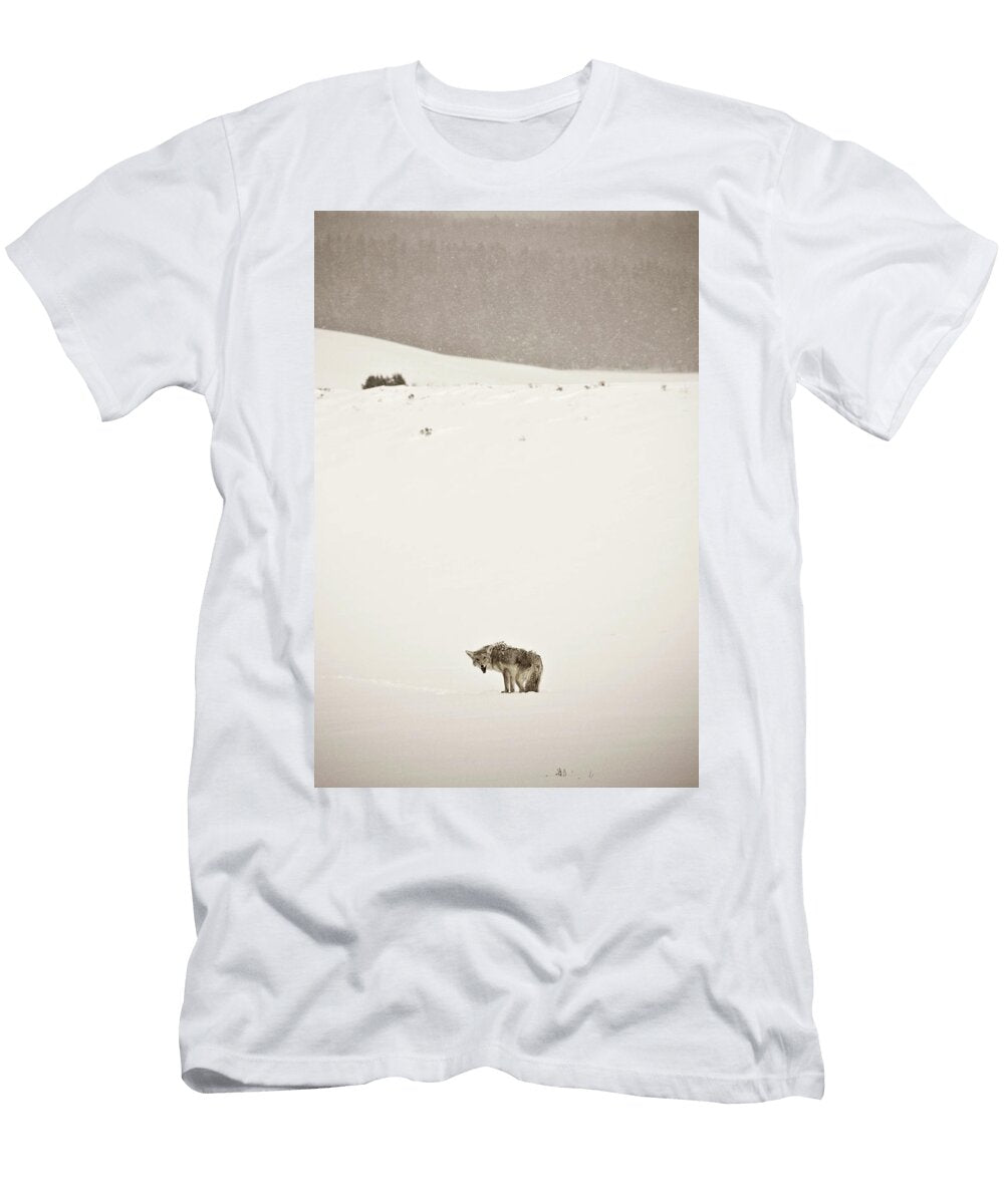 Coyote in the Middle of a Snowy Field Tim Martin T-Shirt