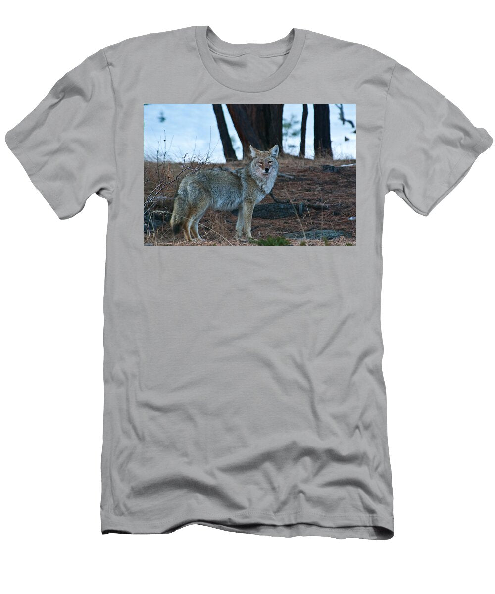 Coyote in the Mountains Cascade Colors T-Shirt