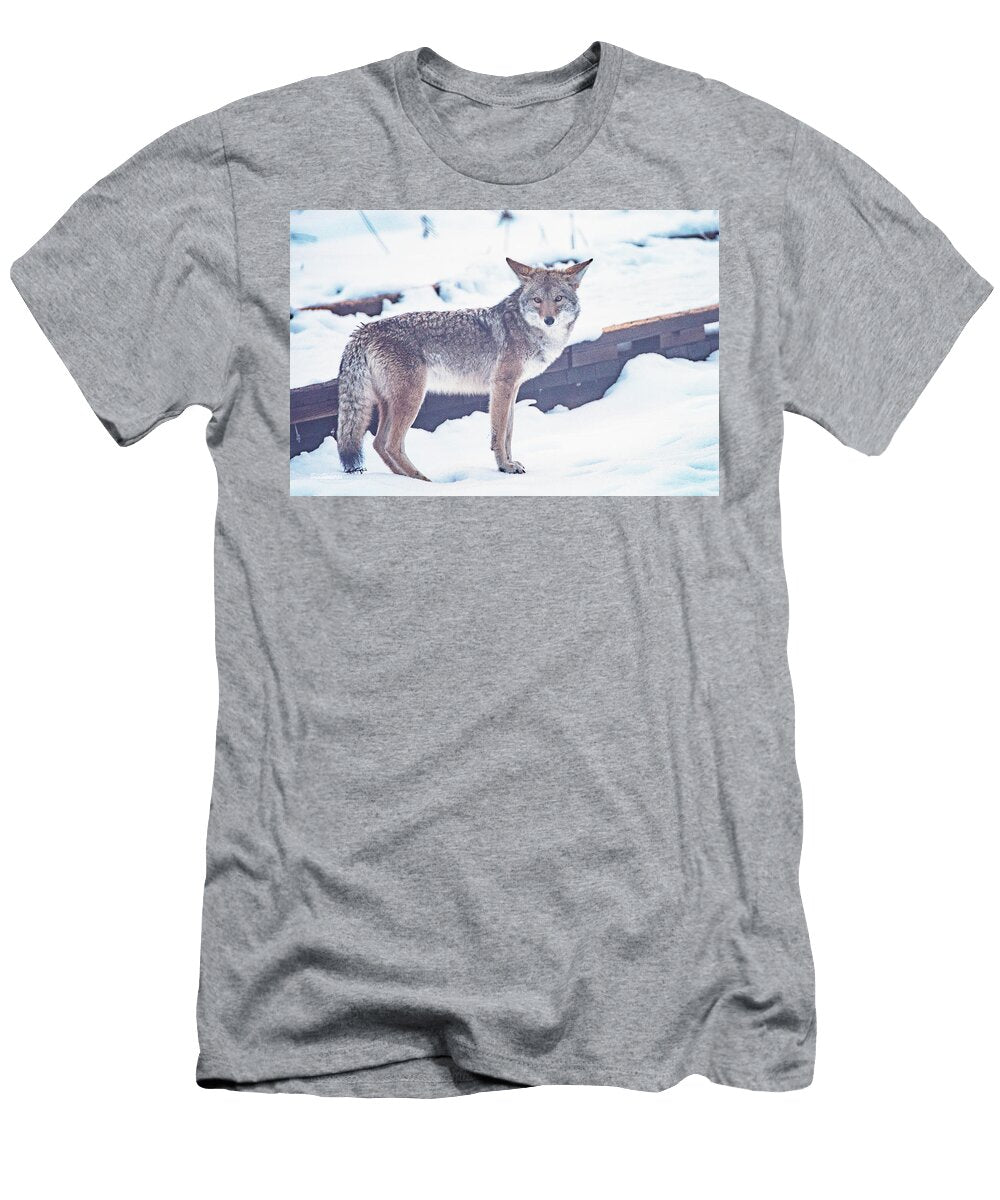Coyote in the Snow Bill Roberts T-Shirt