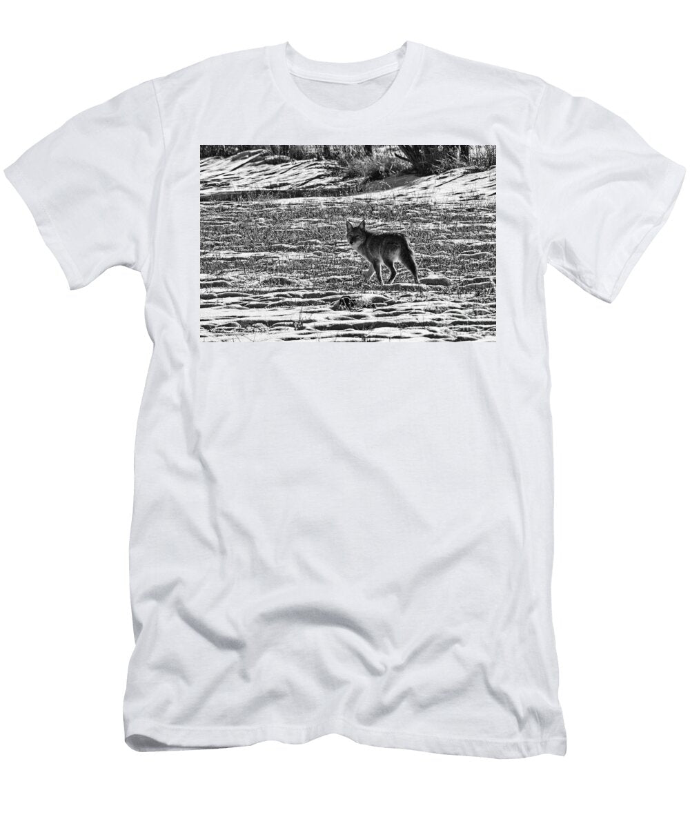 Coyote in the Snow Black and White Douglas Barnard T-Shirt