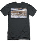Coyote in the Snow Douglas Barnard T-Shirt