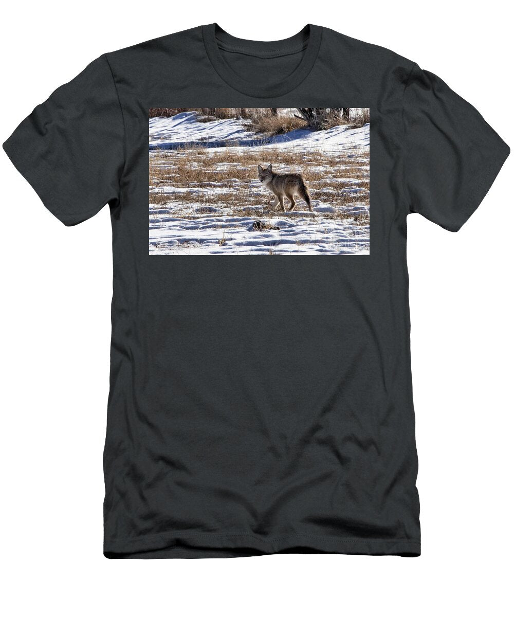 Coyote in the Snow Douglas Barnard T-Shirt