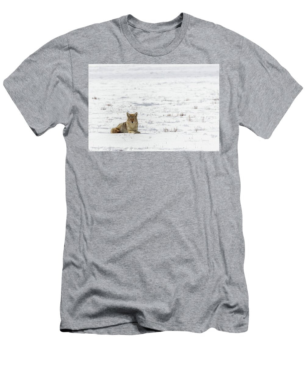 Coyote in the Snow Susan Rissi Tregoning T-Shirt