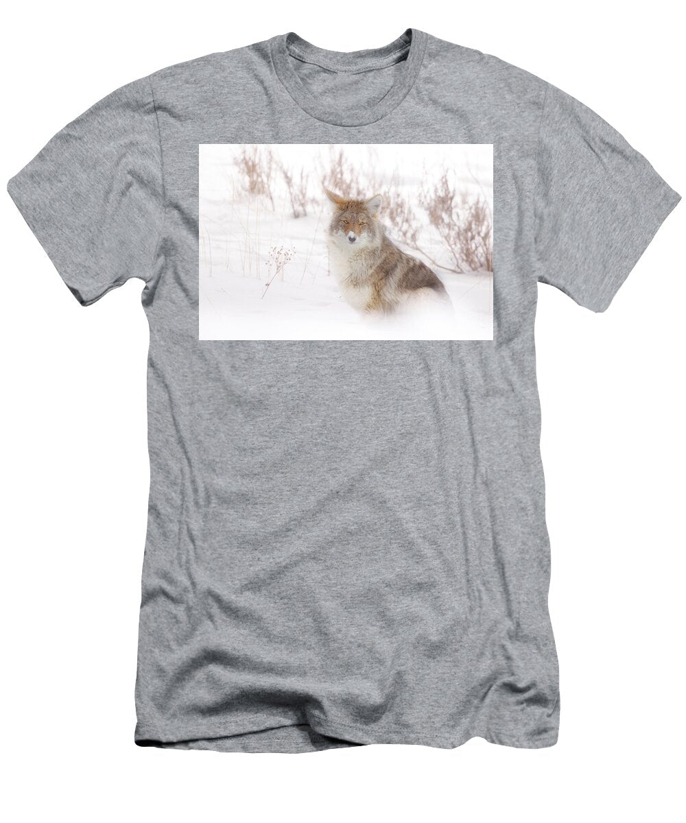 Coyote in Winter Coat Isabella Smedley T-Shirt