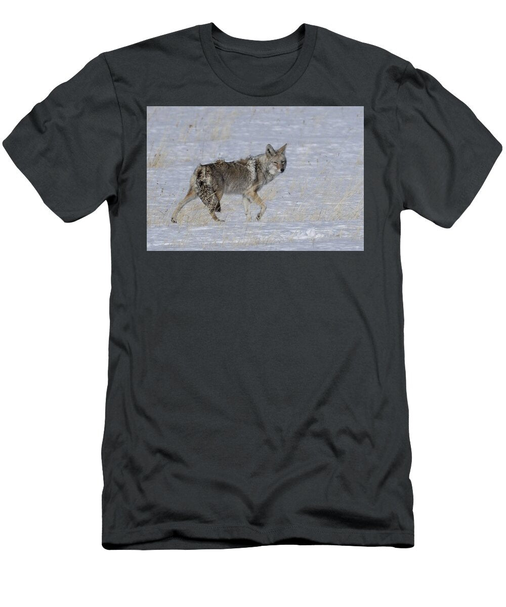 Coyote in Winter Landscape Amy Booth T-Shirt