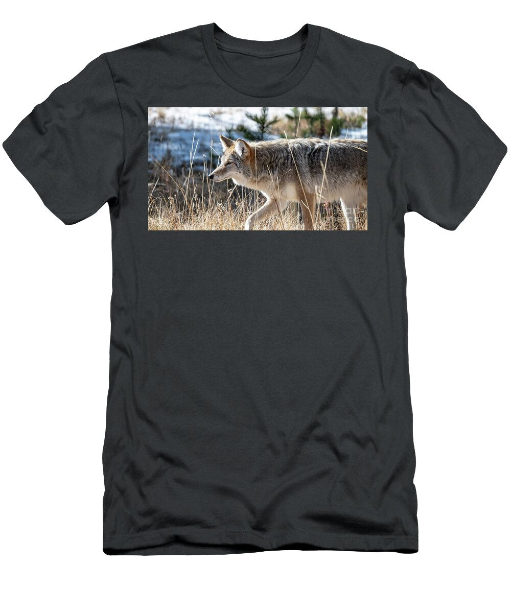 Coyote in Winter Landscape Gordy Lindgren Photo T-Shirt