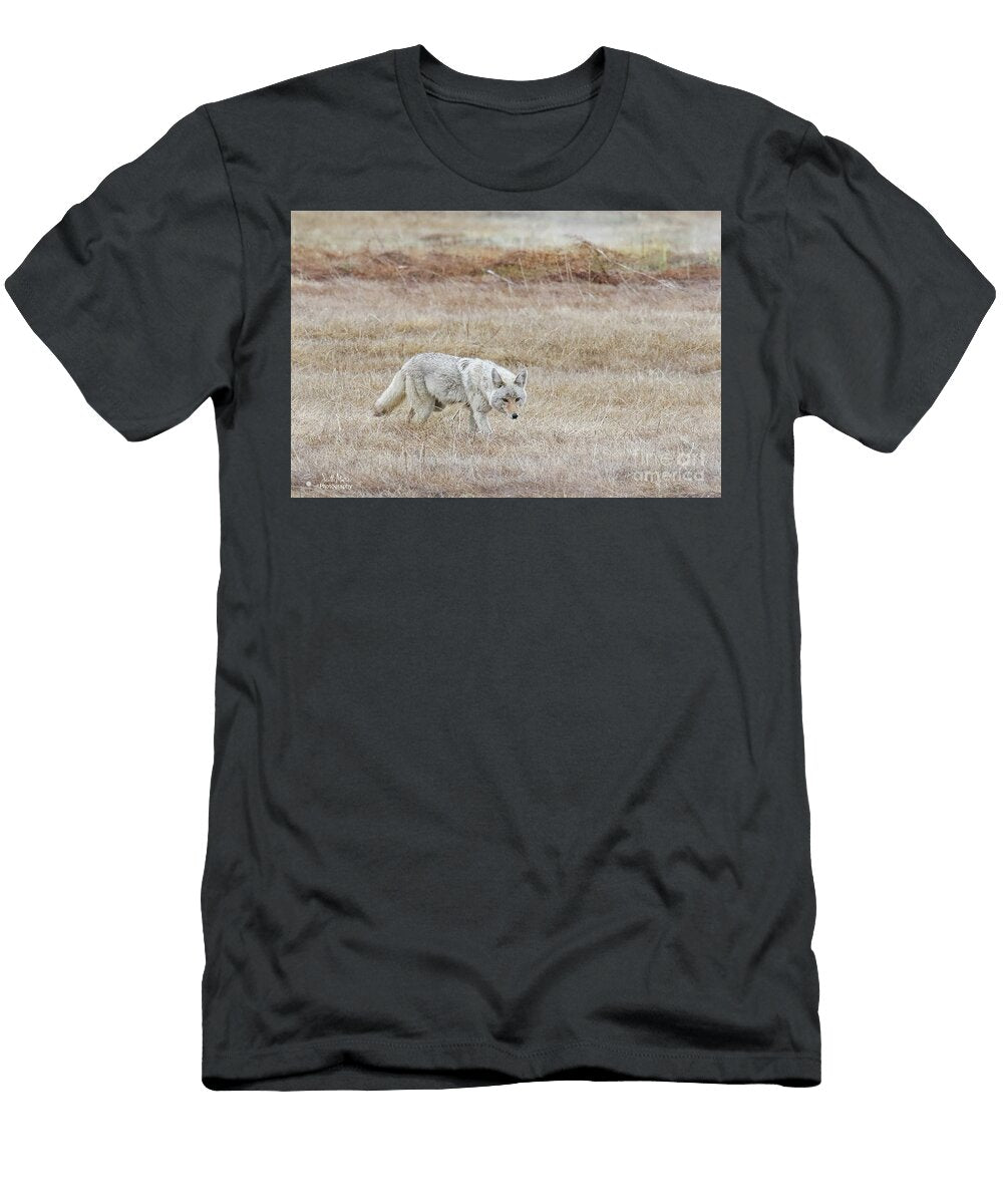 Coyote in Yellowstone Scott Moore T-Shirt