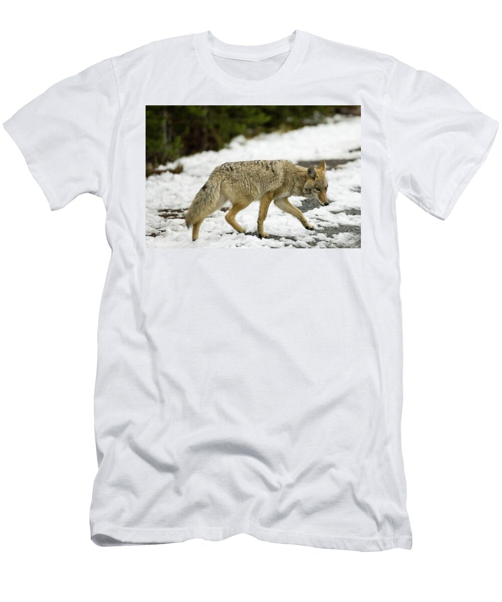 Coyote Jacana Stock T-Shirt