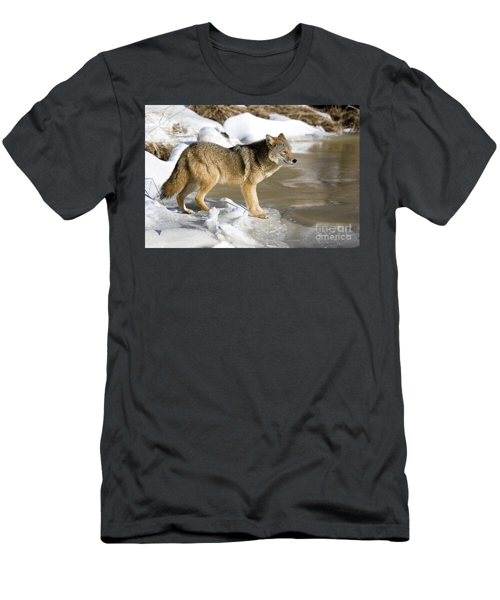Coyote Linda Freshwaters Arndt T-Shirt