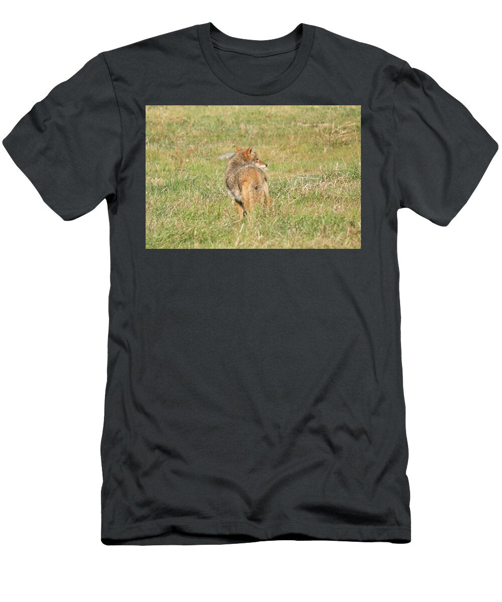 Coyote Looking Around Jeff Swan T-Shirt