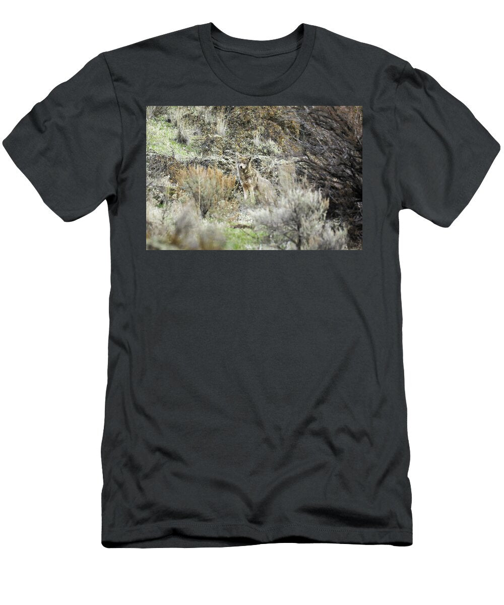 Coyote Looking At the Camera Jeff Swan T-Shirt