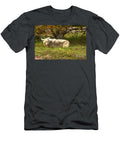 Coyote Looking Back Adam Jewell T-Shirt