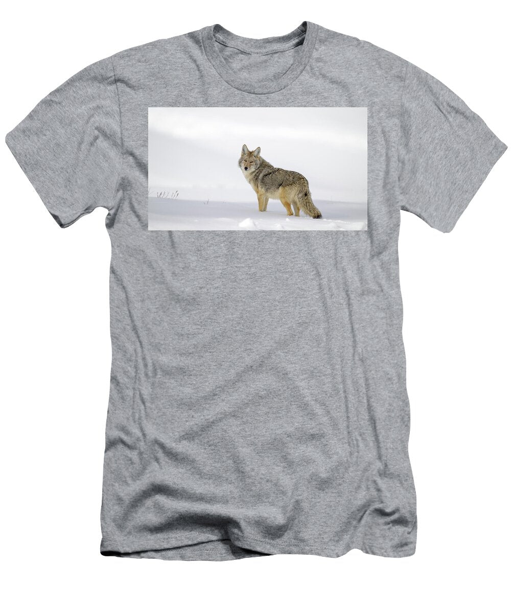 Coyote Looking Back in a Snowy Landscape Anita Wooldridge T-Shirt