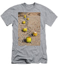 Coyote Melon Fruits on Vine Growing Across Sand Catavina Jeff Foott Natureplcom T-Shirt