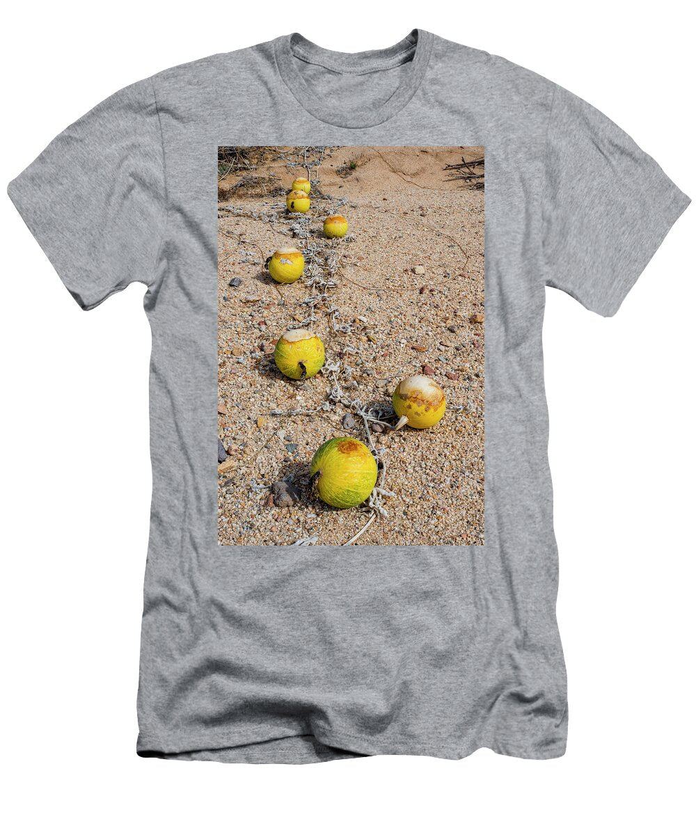 Coyote Melon Fruits on Vine Growing Across Sand Catavina Jeff Foott Natureplcom T-Shirt