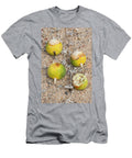 Coyote Melon Fruits with Bite Marks Catavina Valle De Los Jeff Foott Natureplcom T-Shirt
