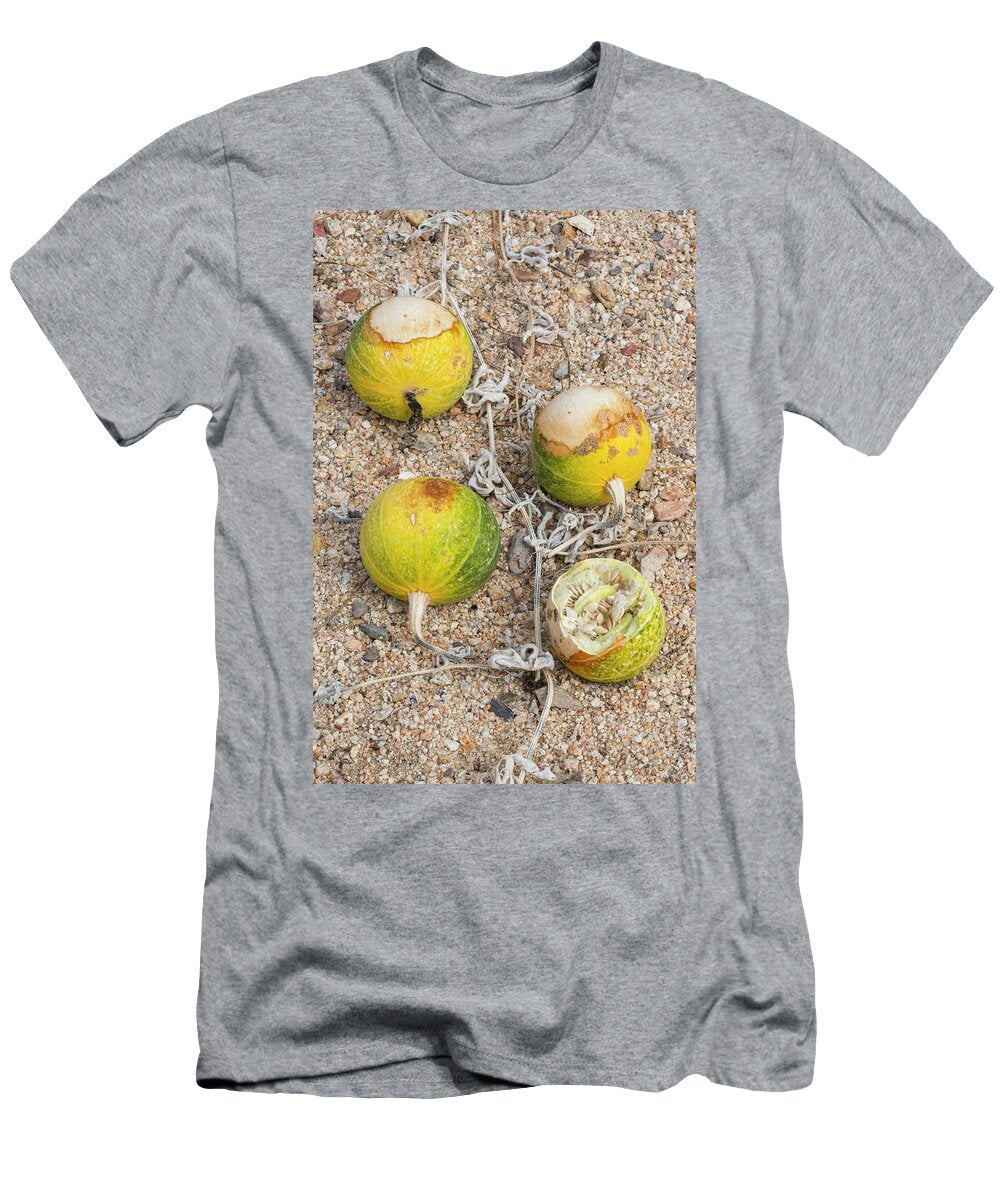 Coyote Melon Fruits with Bite Marks Catavina Valle De Los Jeff Foott Natureplcom T-Shirt