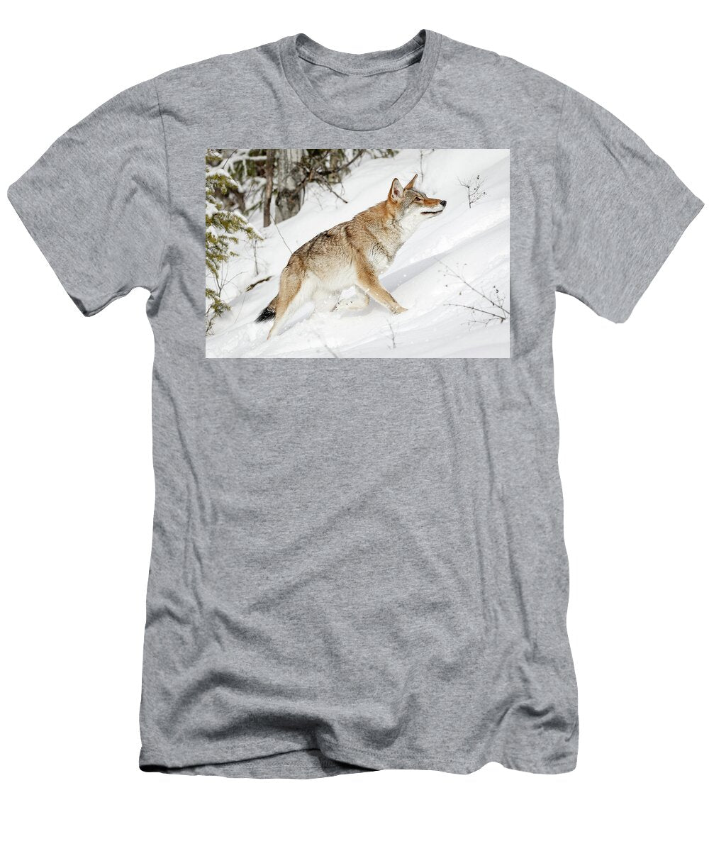 Coyote Mountain Climb Athena Mckinzie T-Shirt