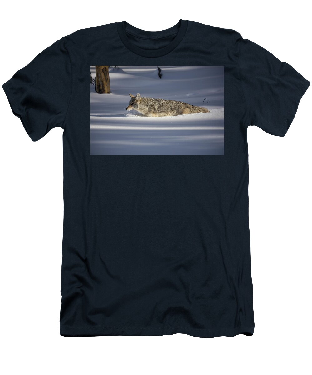 Coyote Moving Through the Deep Winter Snow Yellowstone Carol Walker Natureplcom T-Shirt