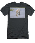 Coyote Named Tripod Llimpy or Chester Walking with a Limp Down Lamar Valley 2025 Isabella Smedley T-Shirt
