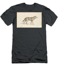 Coyote of Mexico Charles Hamilton Smith English T-Shirt