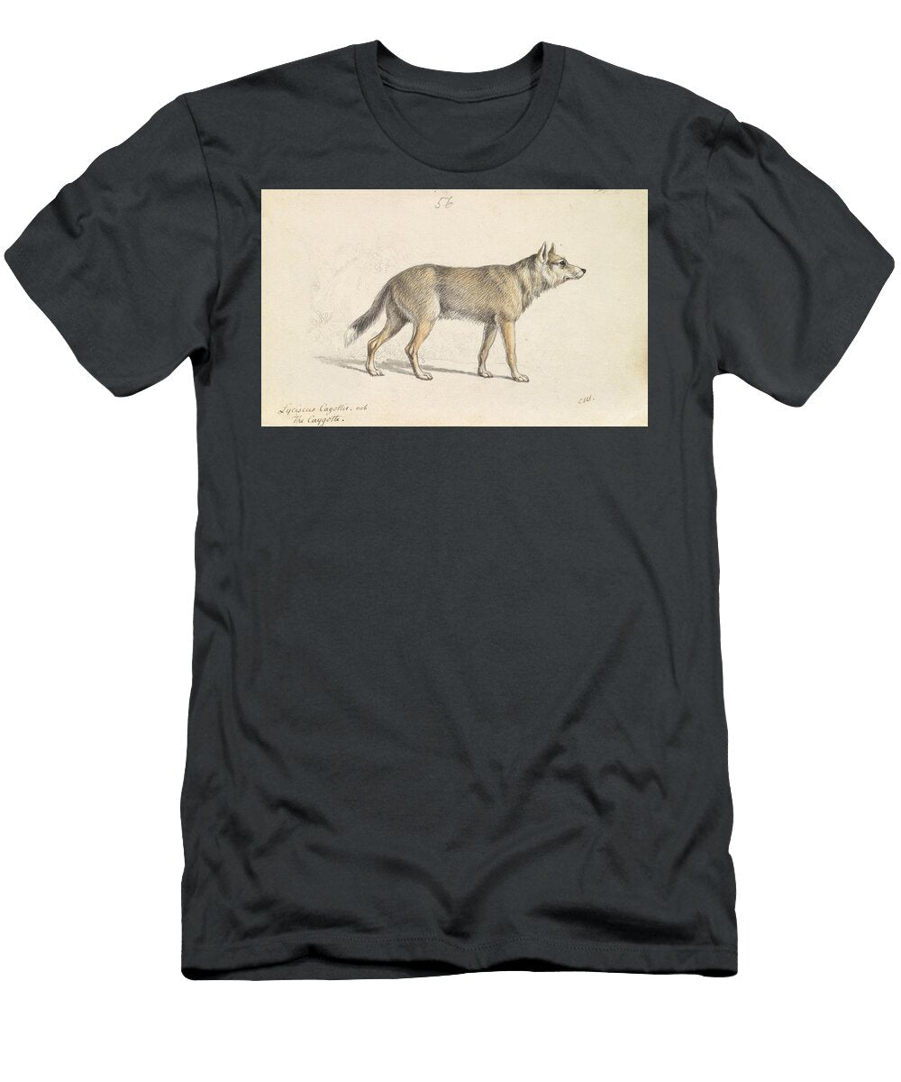 Coyote of Mexico Charles Hamilton Smith English T-Shirt