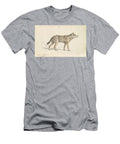 Coyote of Mexico Charles Hamilton Smith T-Shirt