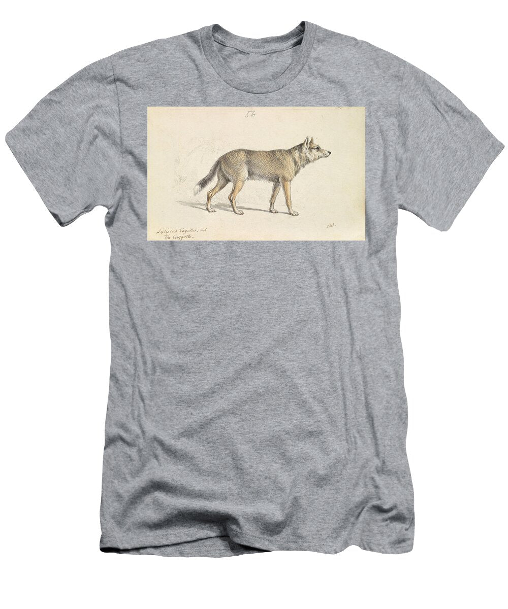 Coyote of Mexico Charles Hamilton Smith T-Shirt