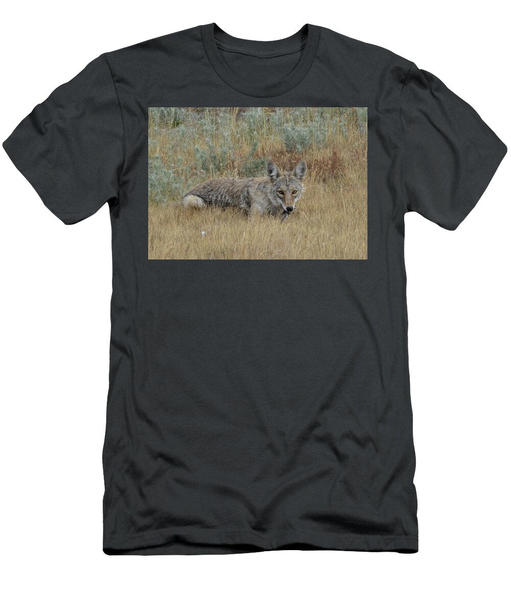 Coyote of September Rae Ann M Garrett T-Shirt