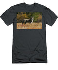 Coyote on a Fall Meadow Mitch Shindelbower T-Shirt