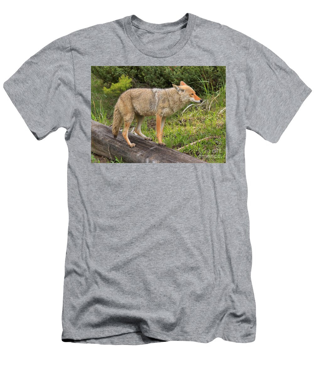 Coyote on a Log Closeup Adam Jewell T-Shirt