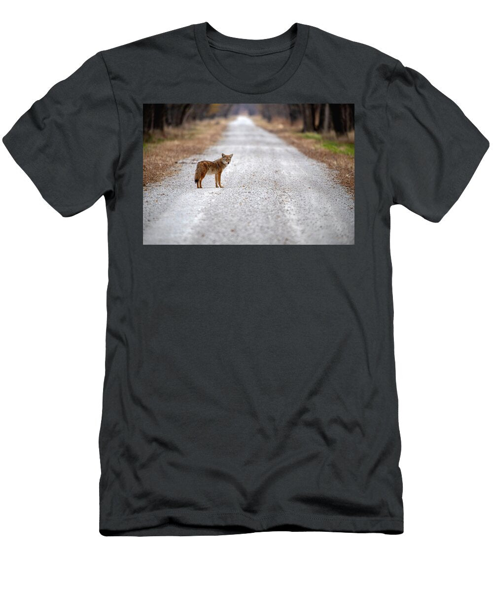 Coyote on a Lonely Road Fur and Feathers Photography T-Shirt