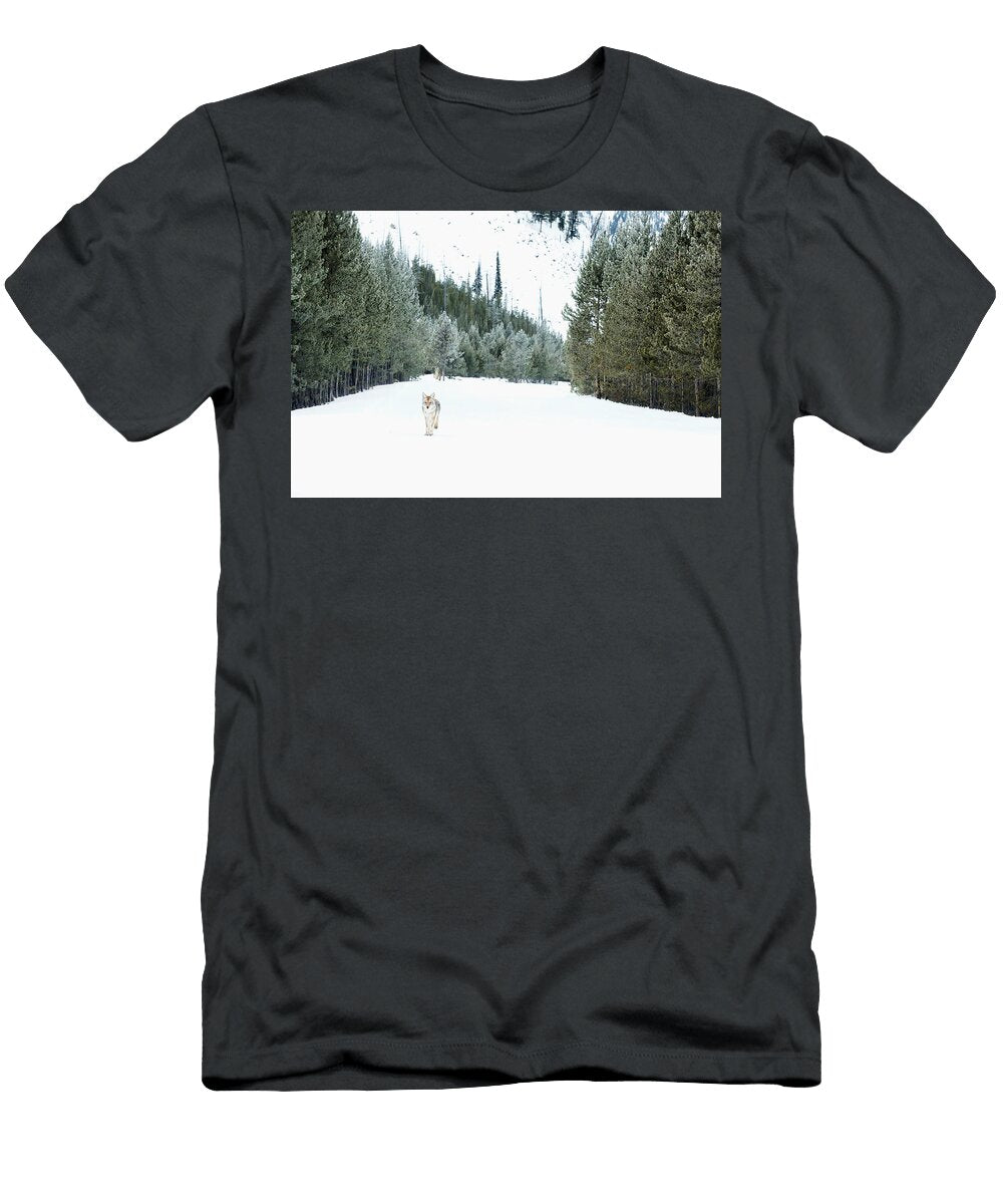 Coyote on a Snowy Road Isabella Smedley T-Shirt